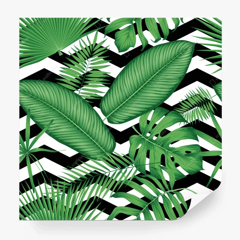Fototapeta tropikalne liście na zygzakowatym tle