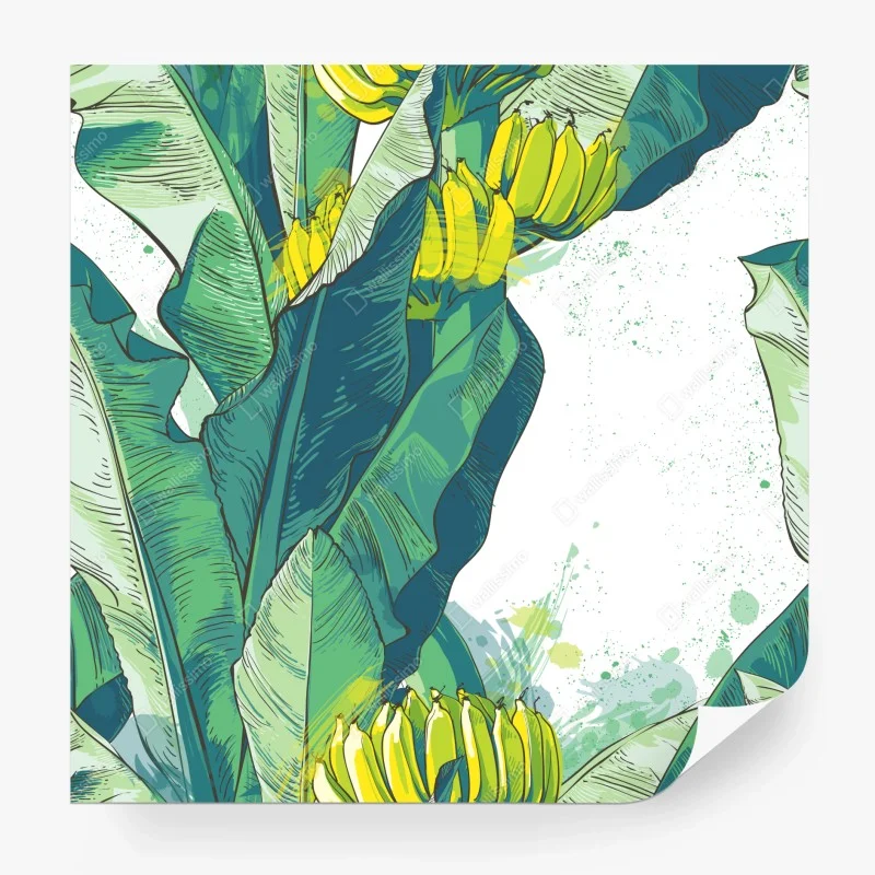 Fototapeta tropikalna ilustracja liści bananowca
