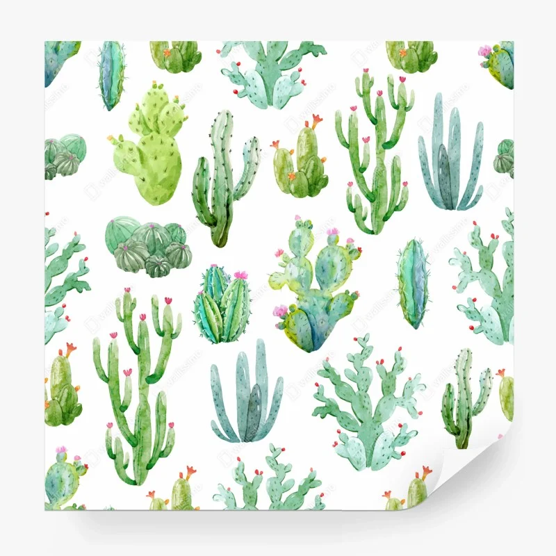 Fototapeta akwarelowy wzór ogrodu kaktusów