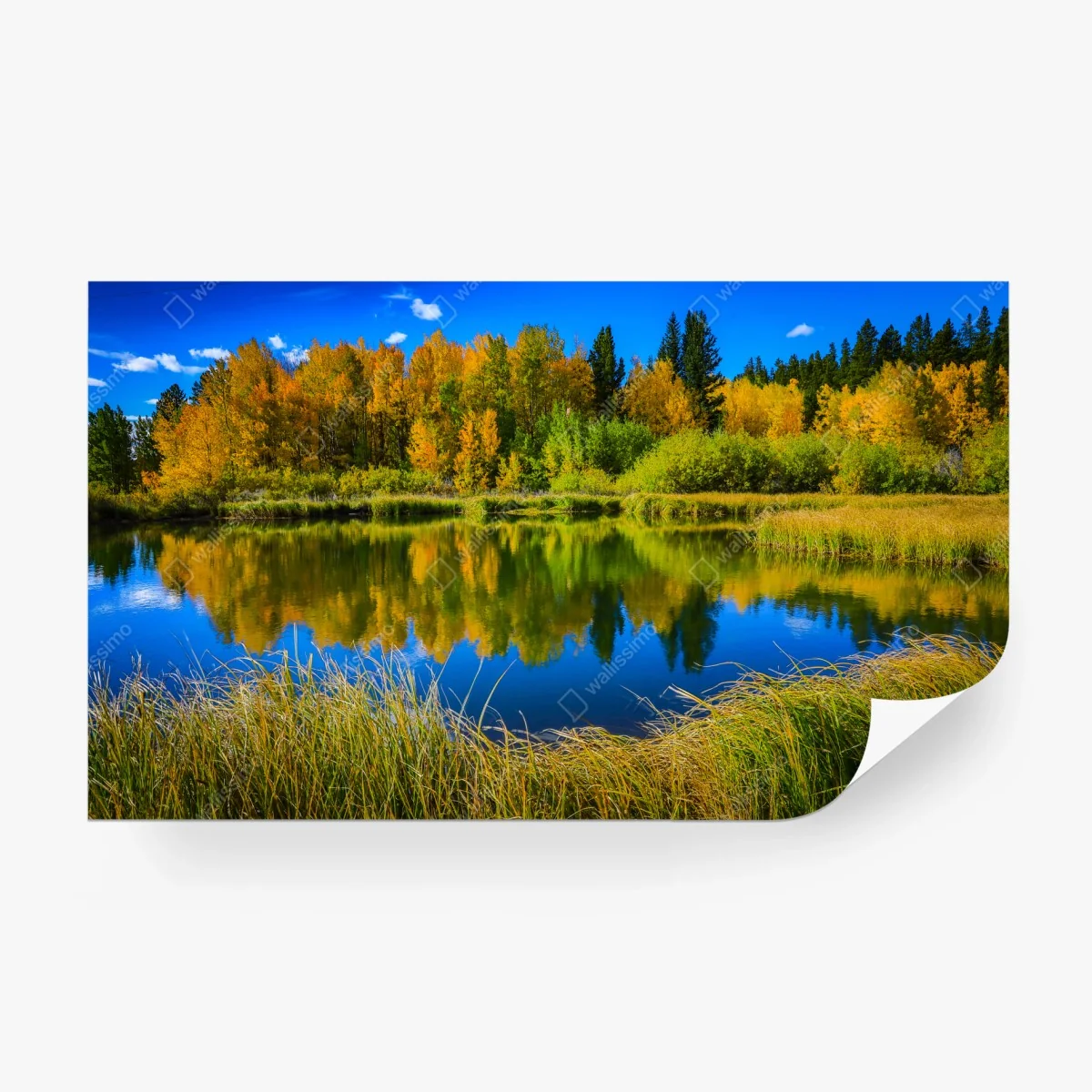 Fototapeta jesienne drzewa odbite w spokojnym jeziorze – Wallissimo® Fototapeta jesienne drzewa odbite w spokojnym jeziorze – Wallissimo®