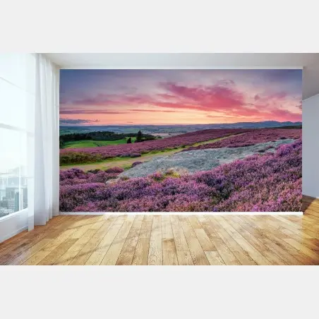Fototapeta fioletowe wrzosowiska o zachodzie słońca – Wallissimo®