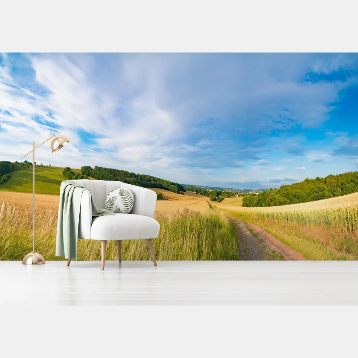Fototapeta poranna panorama pszenicy w Kansas – Wallissimo®