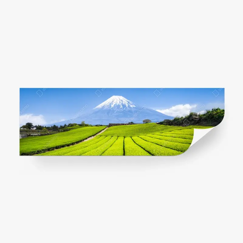 Fototapeta bujne pola herbaty u stóp Góry Fuji