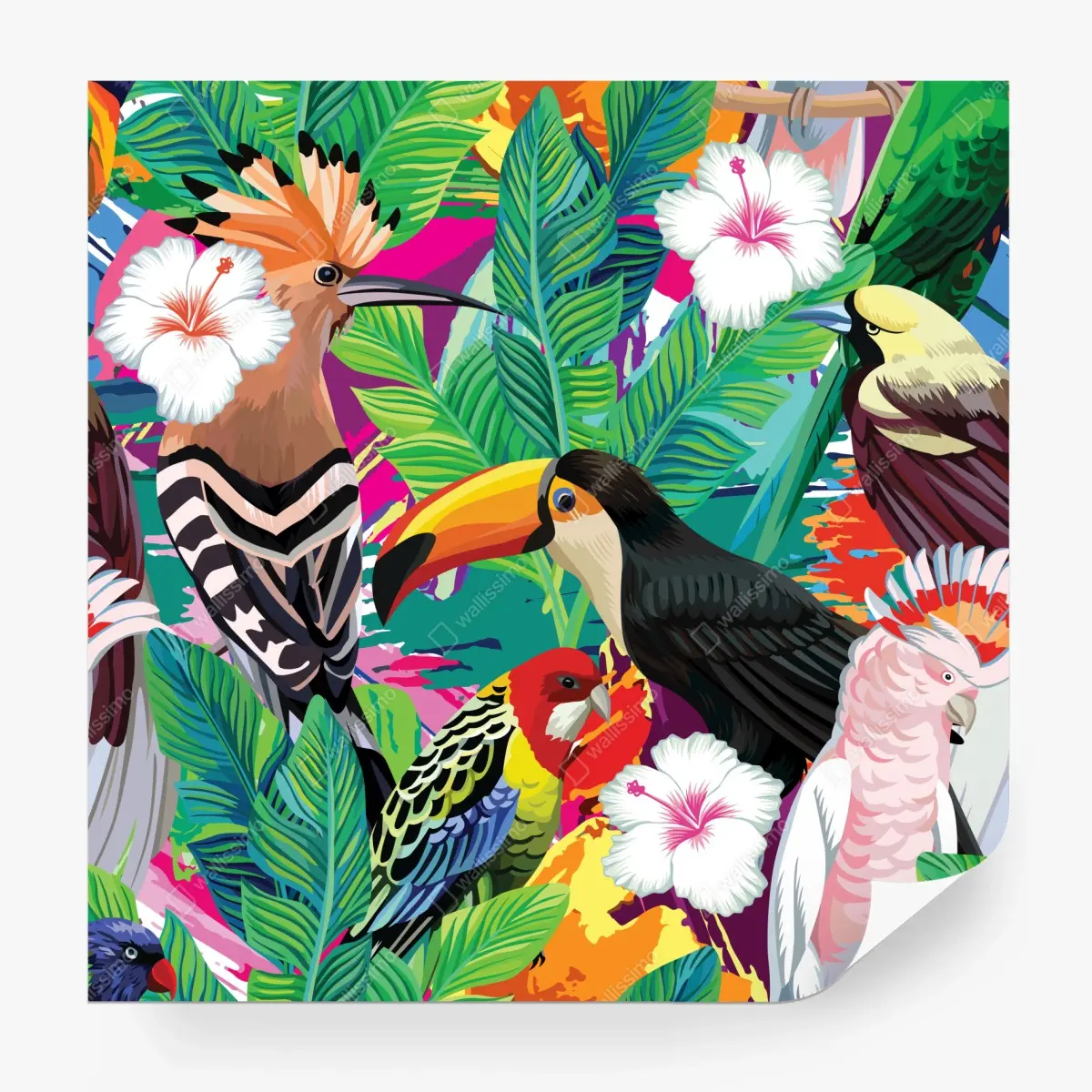 Fototapeta żywe tropikalne ptaki w dżungli – Wallissimo® Fototapeta żywe tropikalne ptaki w dżungli – Wallissimo®