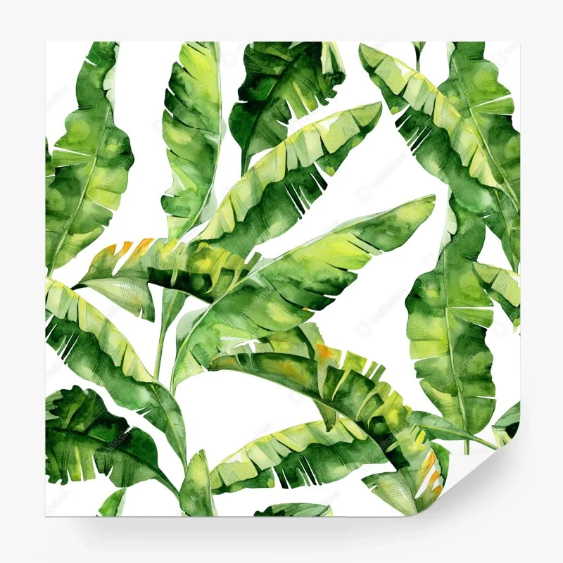 Fototapeta tropikalny wzór z liśćmi bananowca w akwareli