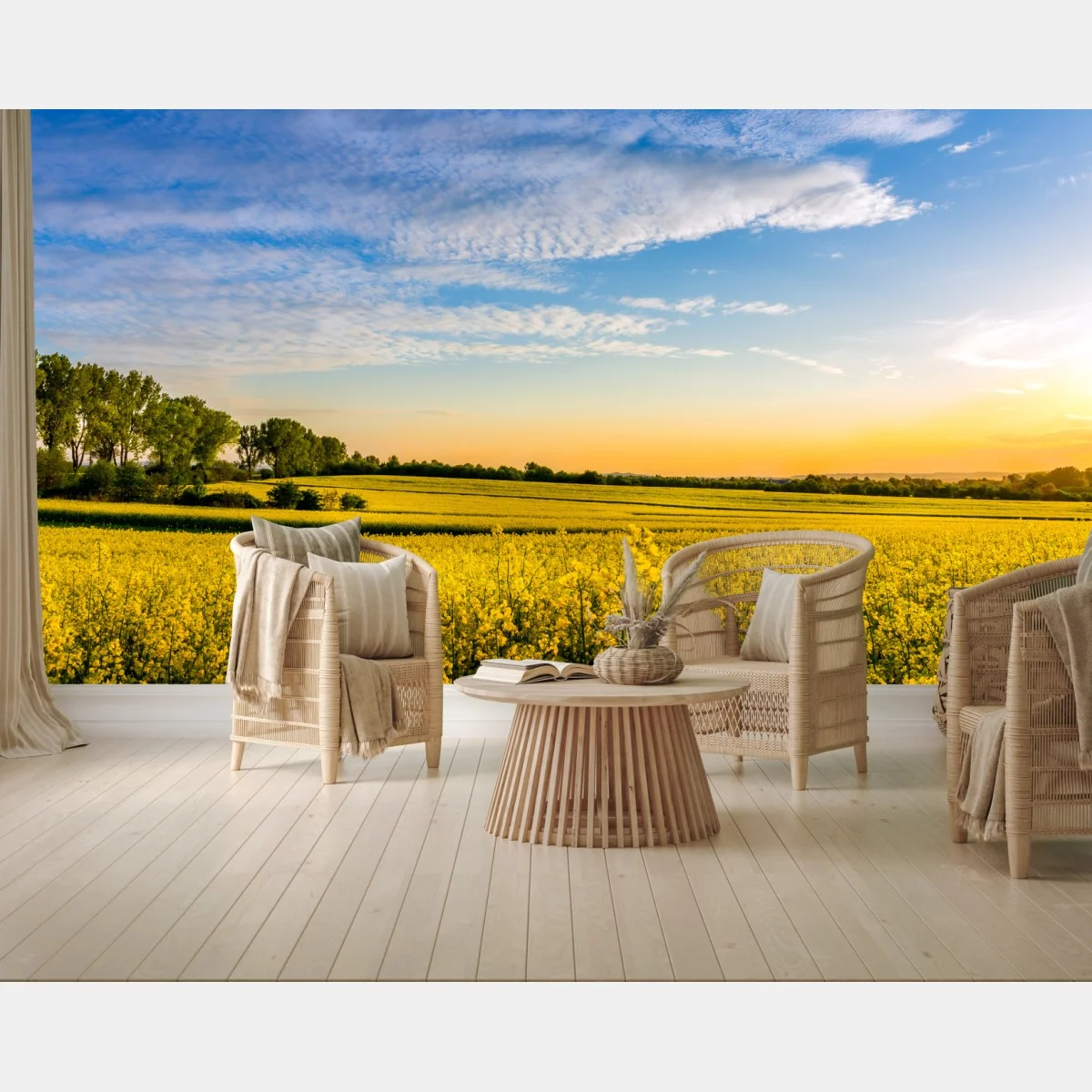 Fototapeta słoneczne pole rzepaku o zachodzie słońca – Wallissimo® Fototapeta słoneczne pole rzepaku o zachodzie słońca – Wallissimo®