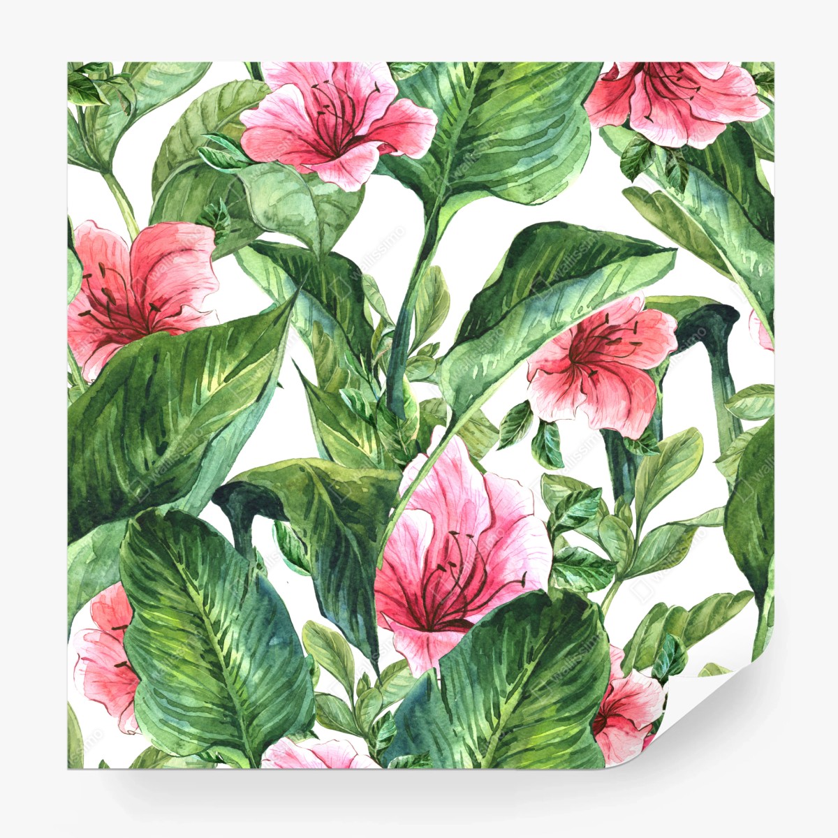 Fototapeta różowy akwarelowy motyw botaniczny – Wallissimo® Fototapeta różowy akwarelowy motyw botaniczny – Wallissimo®