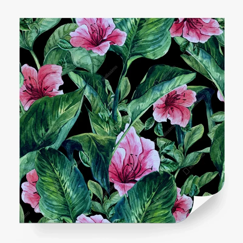 Fototapeta różowe akwarelowe kwiaty na czarnym tle