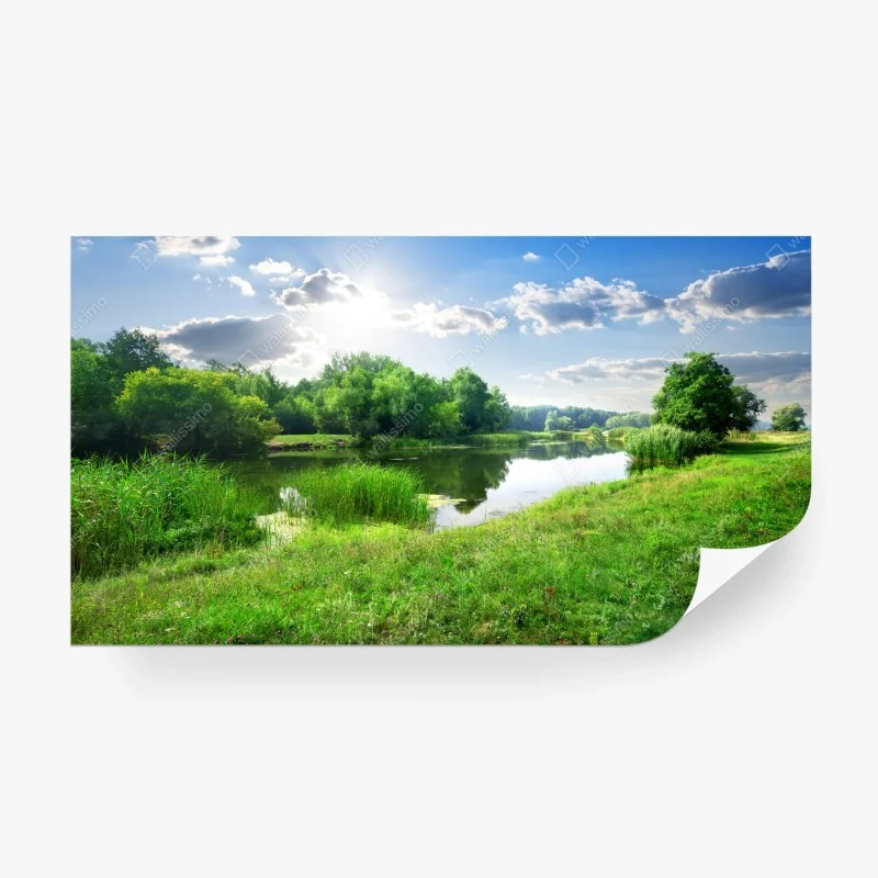 Fototapeta słoneczna łąka nad rzeką