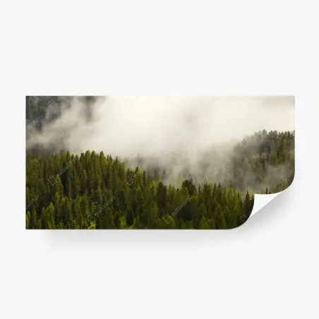 Fototapeta mglisty las iglasty – Wallissimo®
