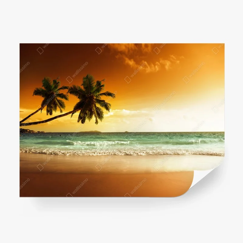 Fototapeta plaża przy zachodzie słońca na Karaibach z palmami