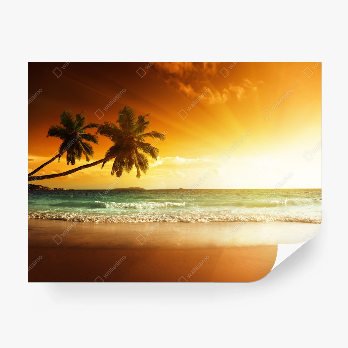 Fototapeta tropikalny zachód słońca nad plażą na Karaibach – Wallissimo®
