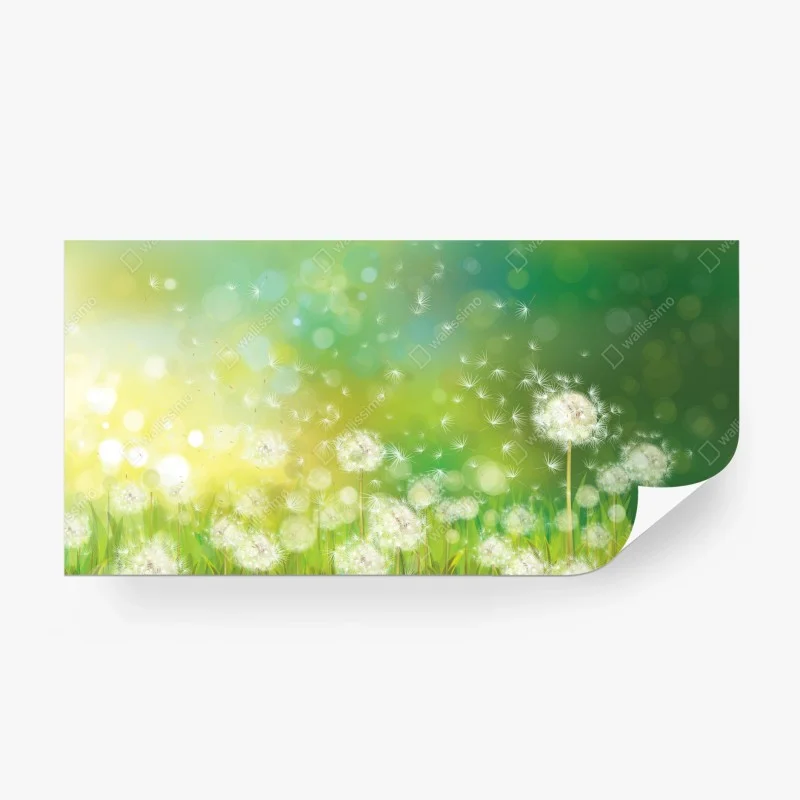 Fototapeta wiosenna łąka dmuchawców