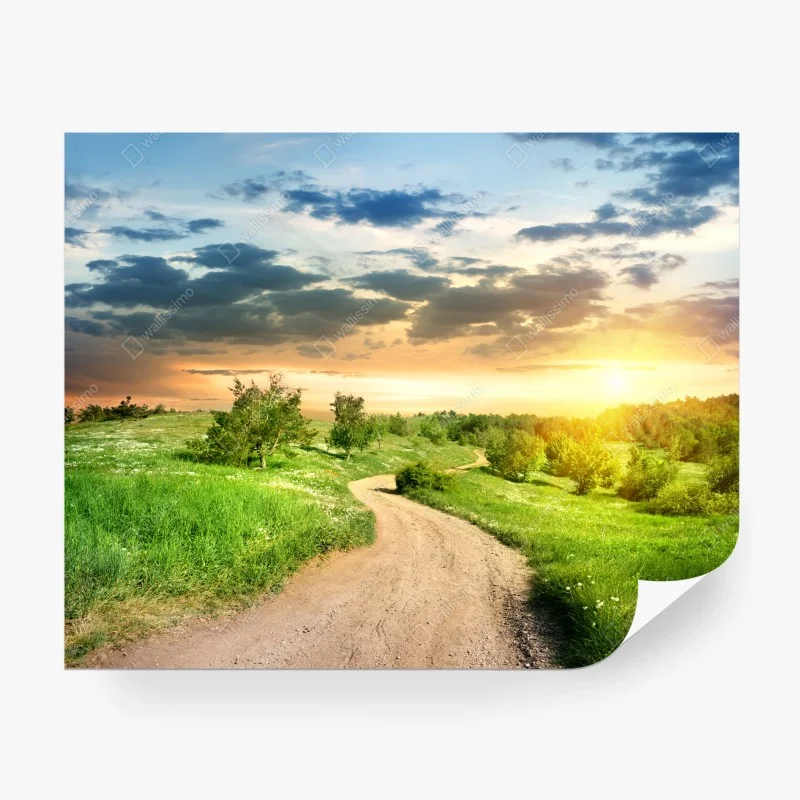 Fototapeta zachód słońca nad polną drogą w zielonej łące