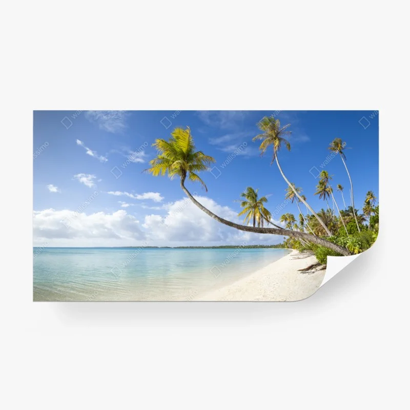 Fototapeta tropikalna turkusowa plaża z pochyloną palmą