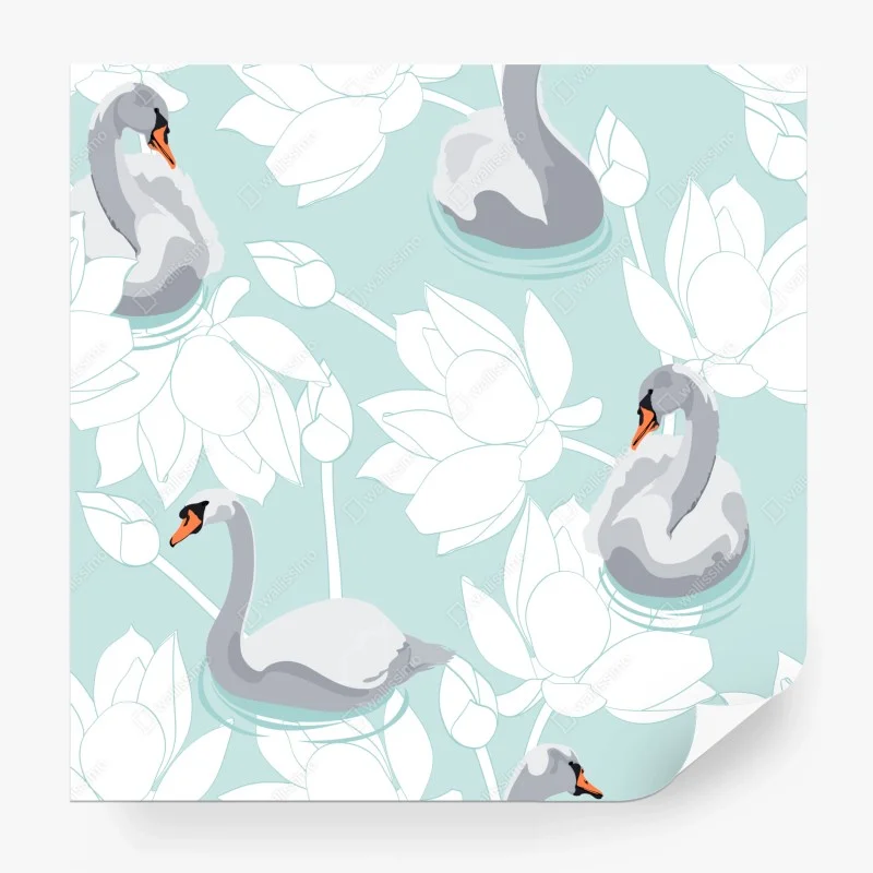 Fototapeta spokojne łabędzie i lotosy