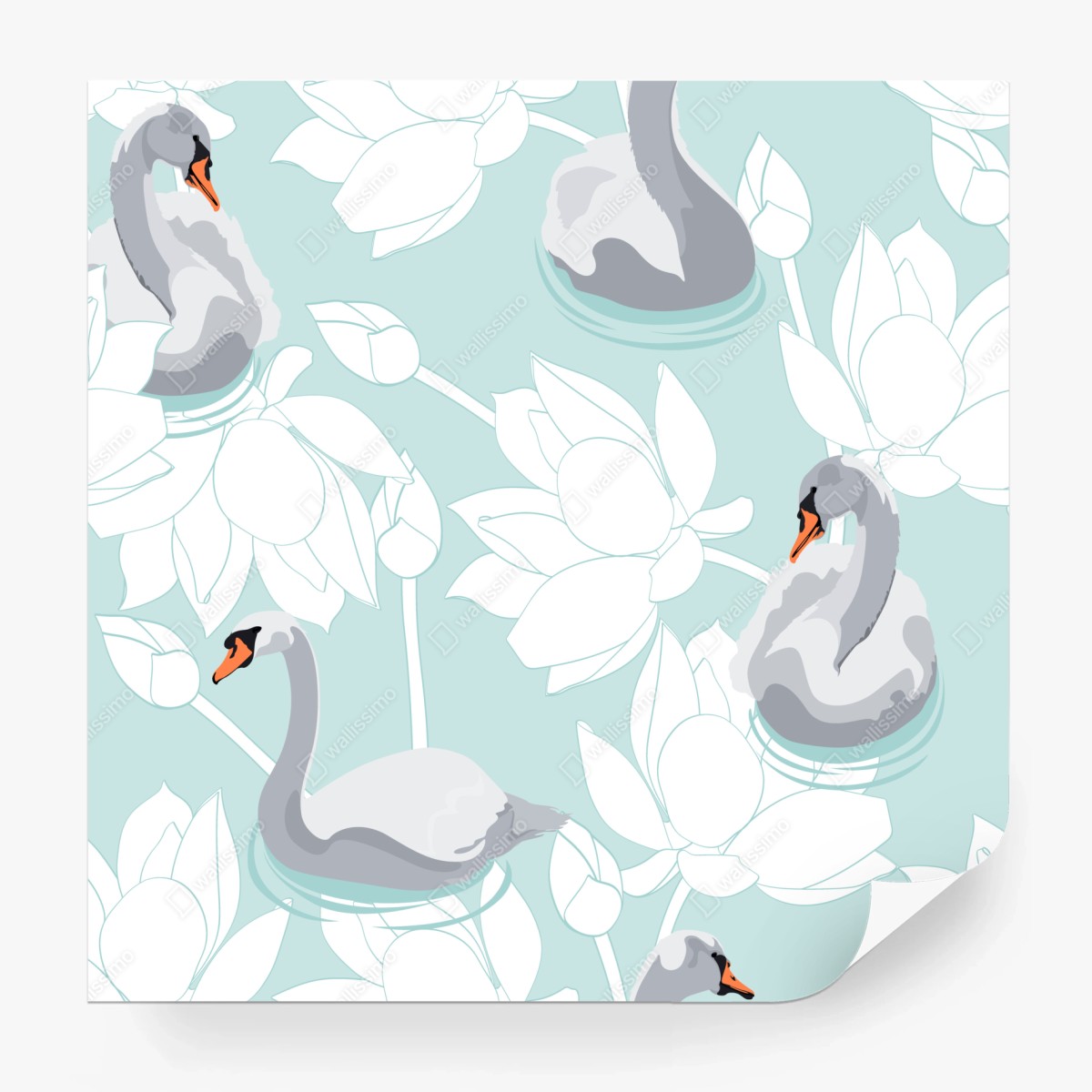 Fototapeta spokojne łabędzie i lotosy – Wallissimo®