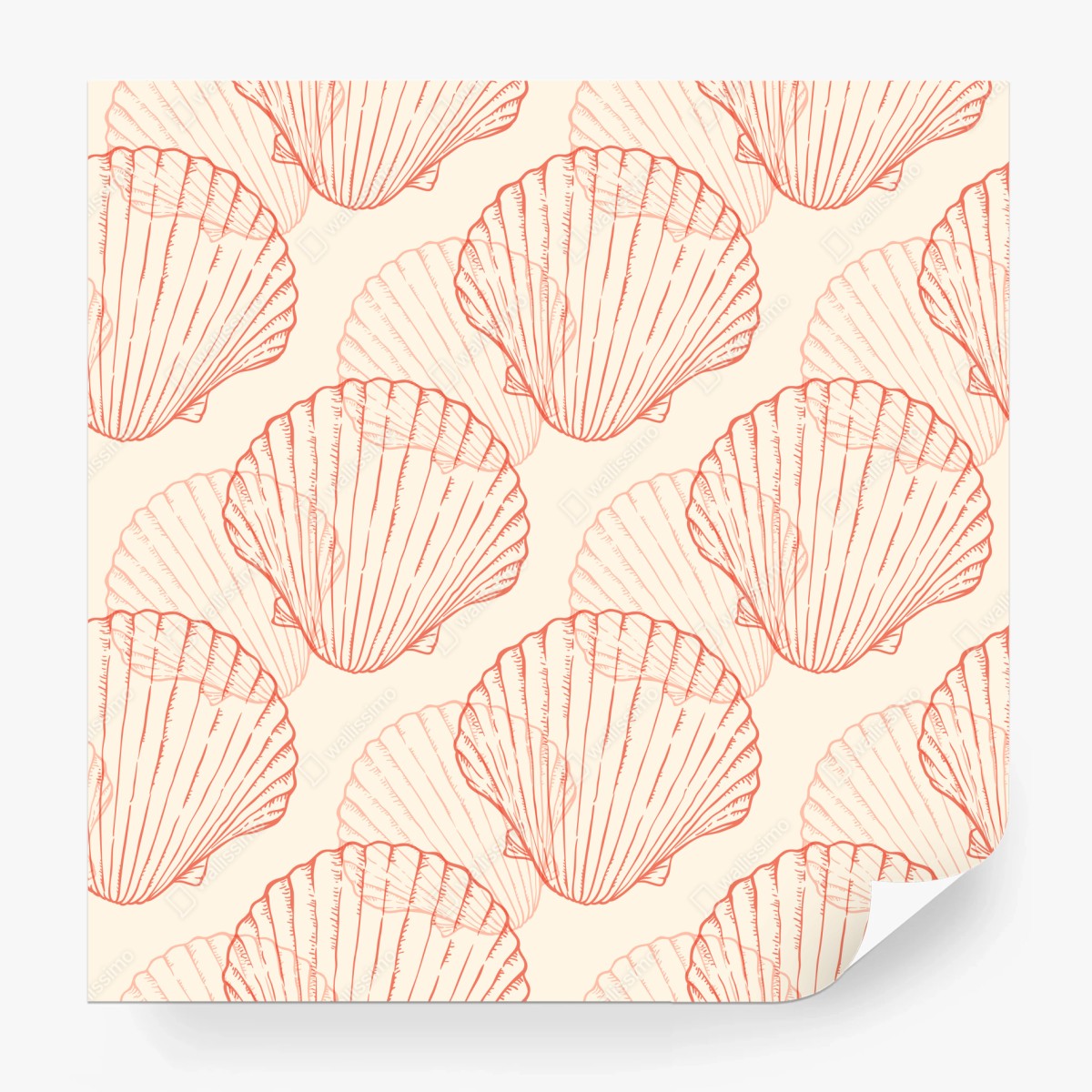Fototapeta koralowy wzór muszli przegrzebek – Wallissimo®