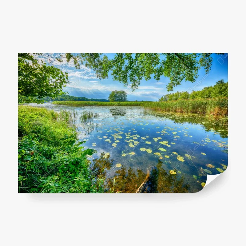 Fototapeta lato nad jeziorem w Mazurach – Wallissimo®