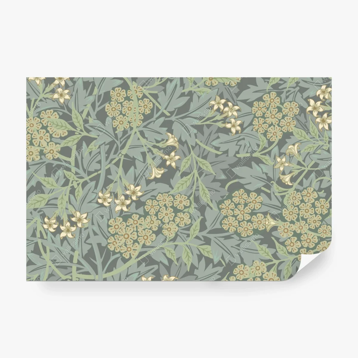 Fototapeta vintage botaniczny wzór kwiatowy – Wallissimo® Fototapeta vintage botaniczny wzór kwiatowy – Wallissimo®