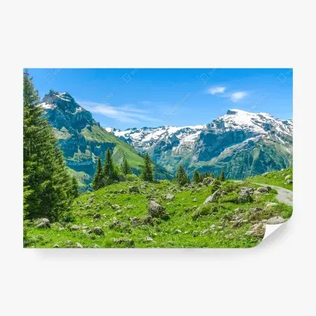 Fototapeta słoneczna łąka w Engelberg – Wallissimo®