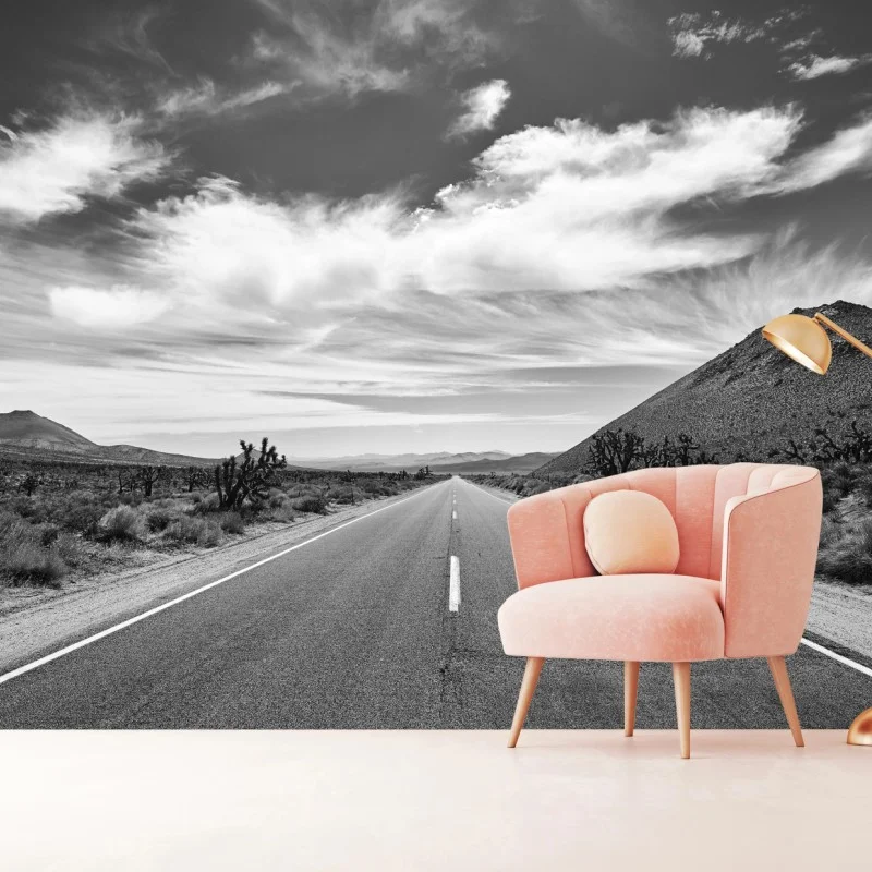 Fototapeta Dolina Śmierci otwarta droga w czerni i bieli