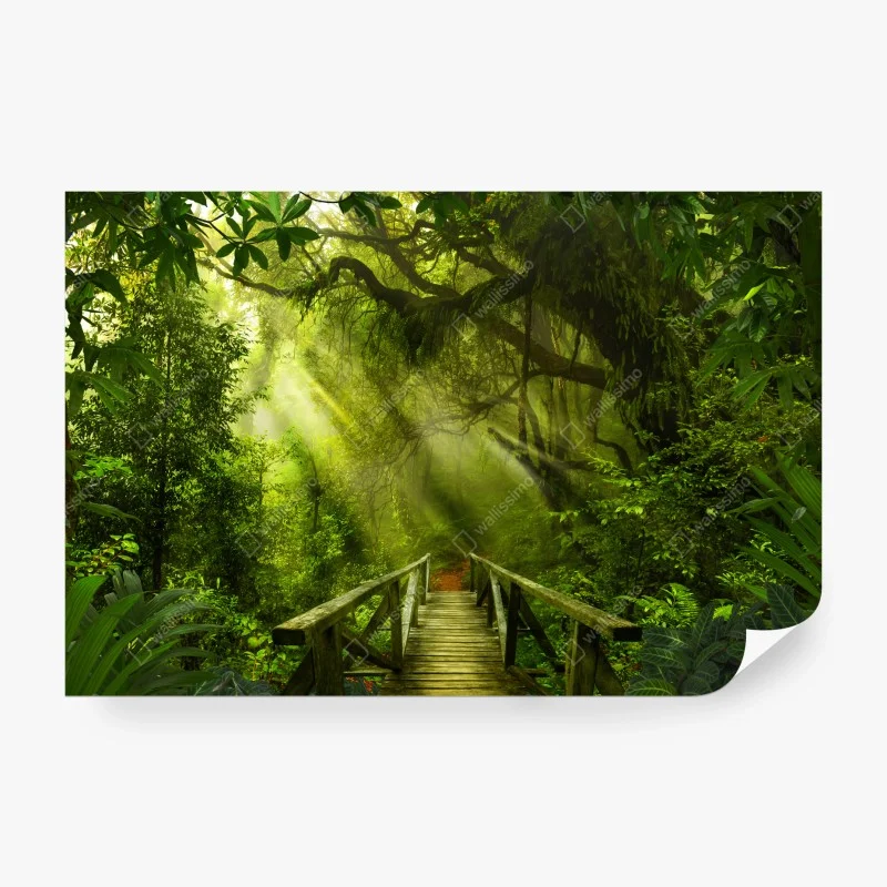 Fototapeta słoneczna leśna ścieżka – Wallissimo® Fototapeta słoneczna leśna ścieżka – Wallissimo®