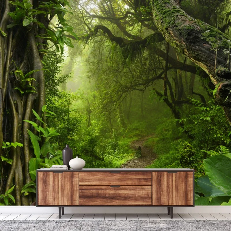 Fototapeta bujna mglista leśna ścieżka