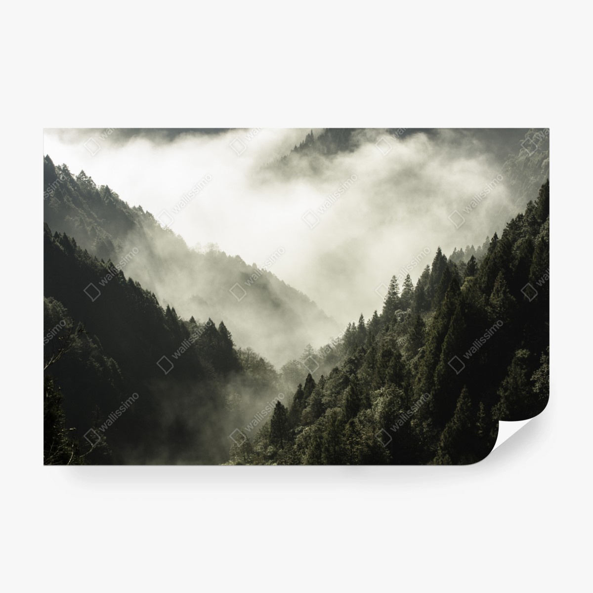 Fototapeta mglista górska dolina – Wallissimo®