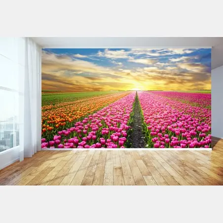 Fototapeta wschód słońca nad polami tulipanów w Holandii – Wallissimo®