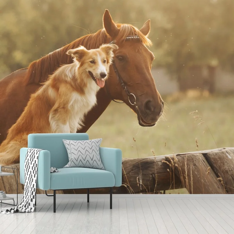 Fototapeta słoneczni towarzysze: pies i koń