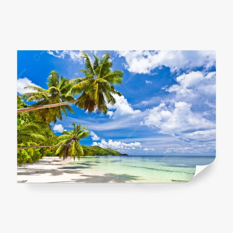 Fototapeta tropikalna plaża z palmami
