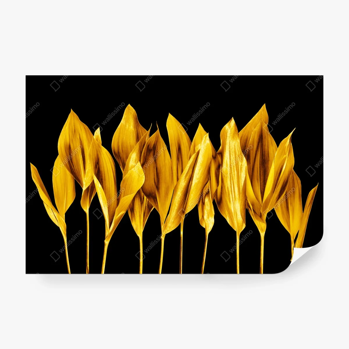 Fototapeta złote liście na czarnym tle – Wallissimo®