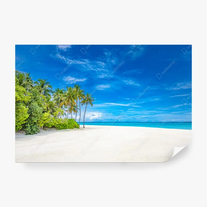 Fototapeta tropikalna plaża z palmami