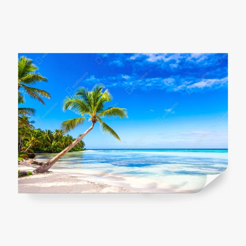 Fototapeta tropikalna plaża z palmą
