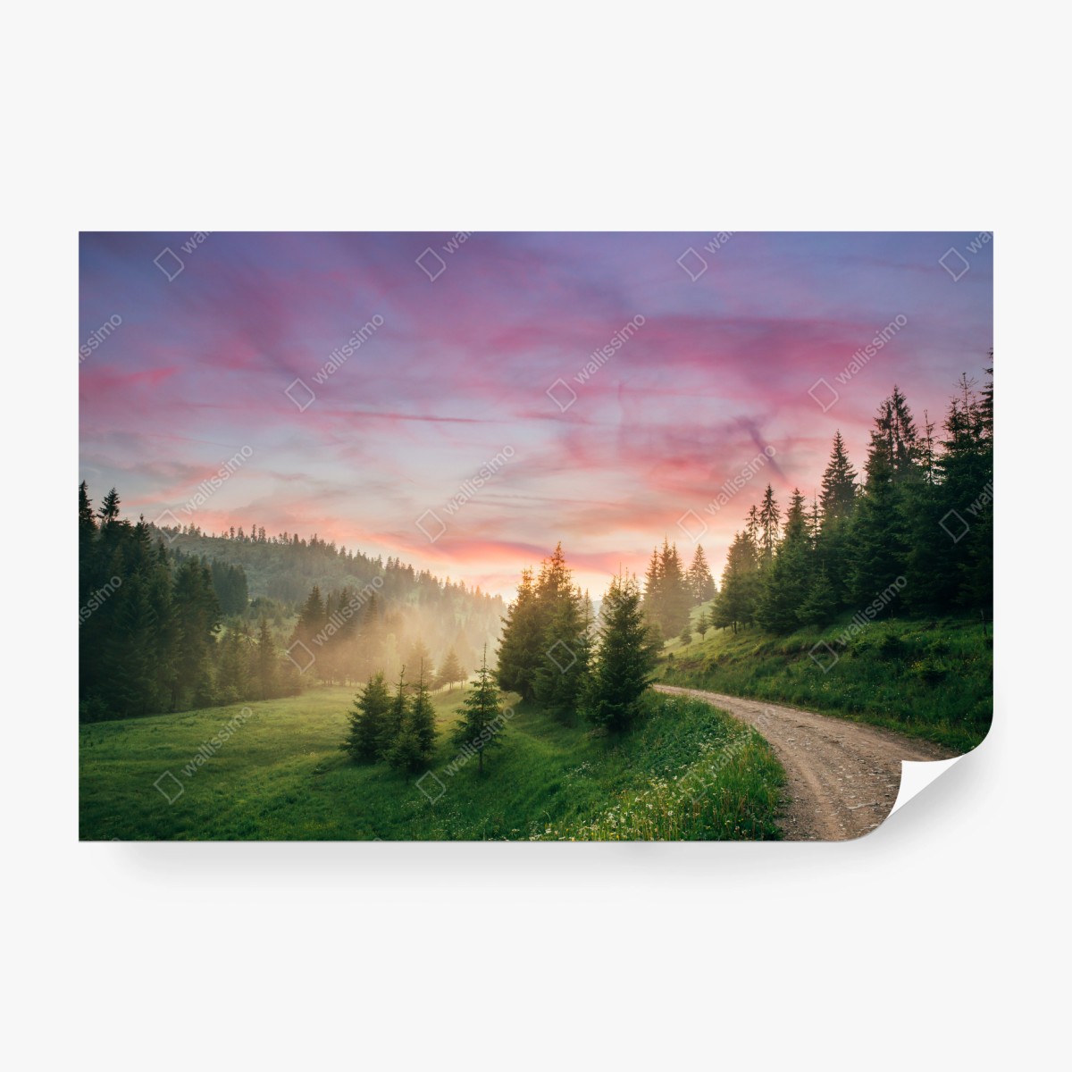 Fototapeta mglisty zachód słońca w sosnowym lesie – Wallissimo® Fototapeta mglisty zachód słońca w sosnowym lesie – Wallissimo®