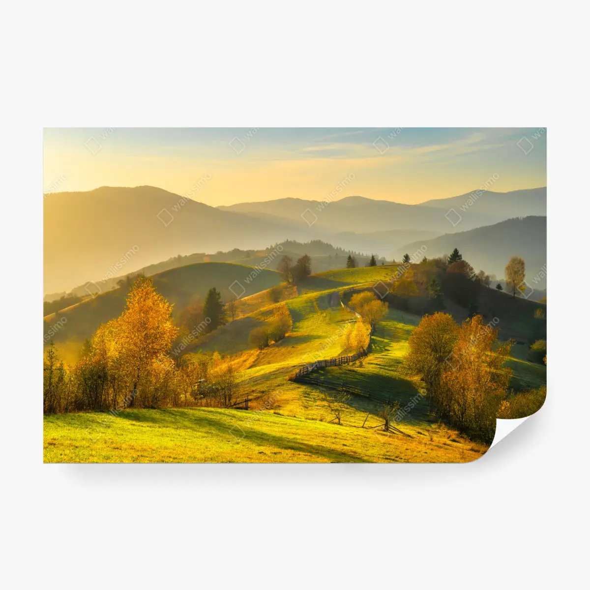 Fototapeta złote jesienne wzgórza o zachodzie słońca – Wallissimo®