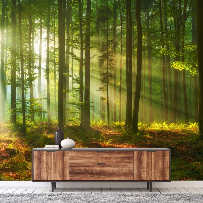 Fototapeta poranne światło w zielonym lesie