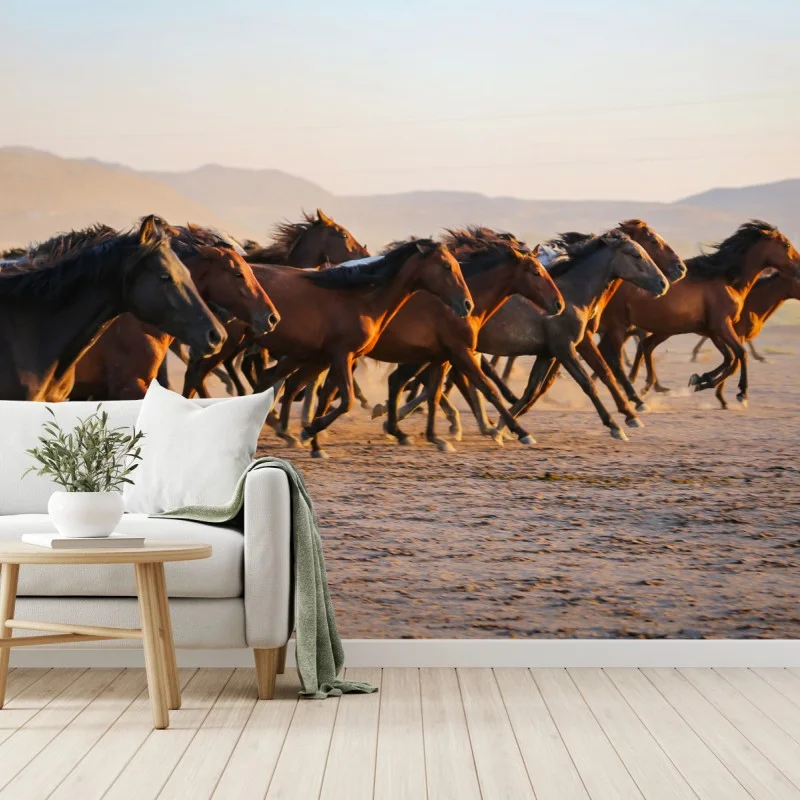 Fototapeta stado koni yilki galopujących po polu w Kayseri