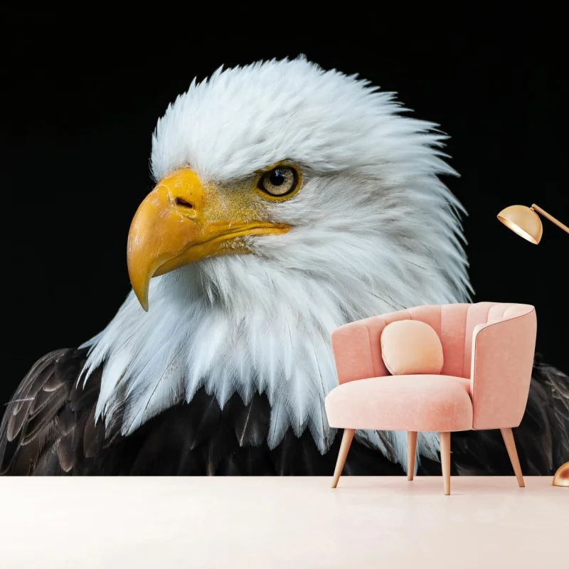 Fototapeta majestatyczny portret bielika