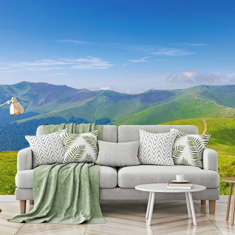 Fototapeta słoneczna łąka Borżawa, Zakarpacie, Ukraina