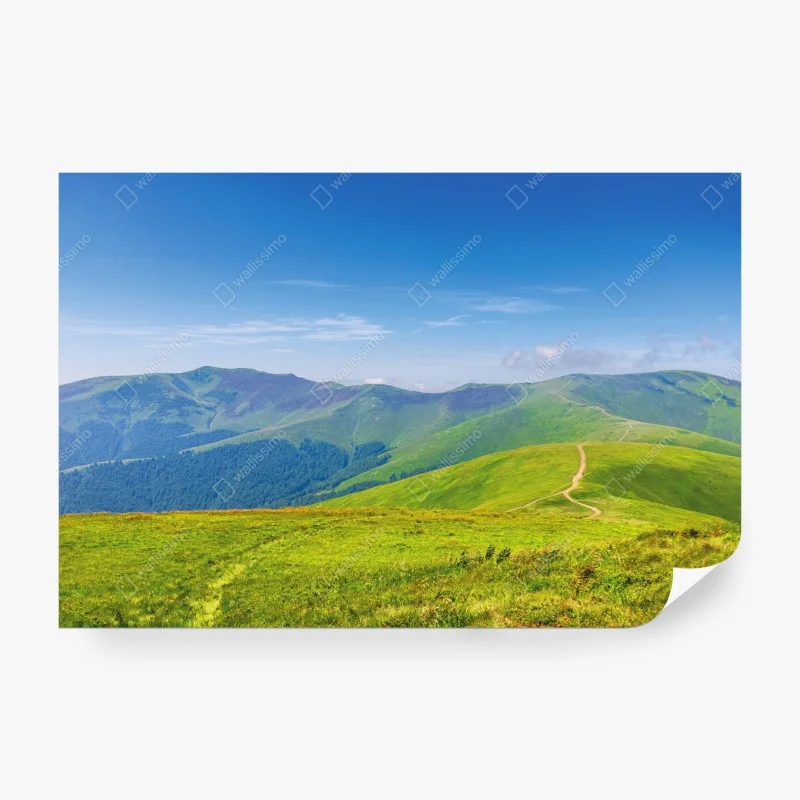 Fototapeta słoneczna łąka Borżawa, Zakarpacie, Ukraina