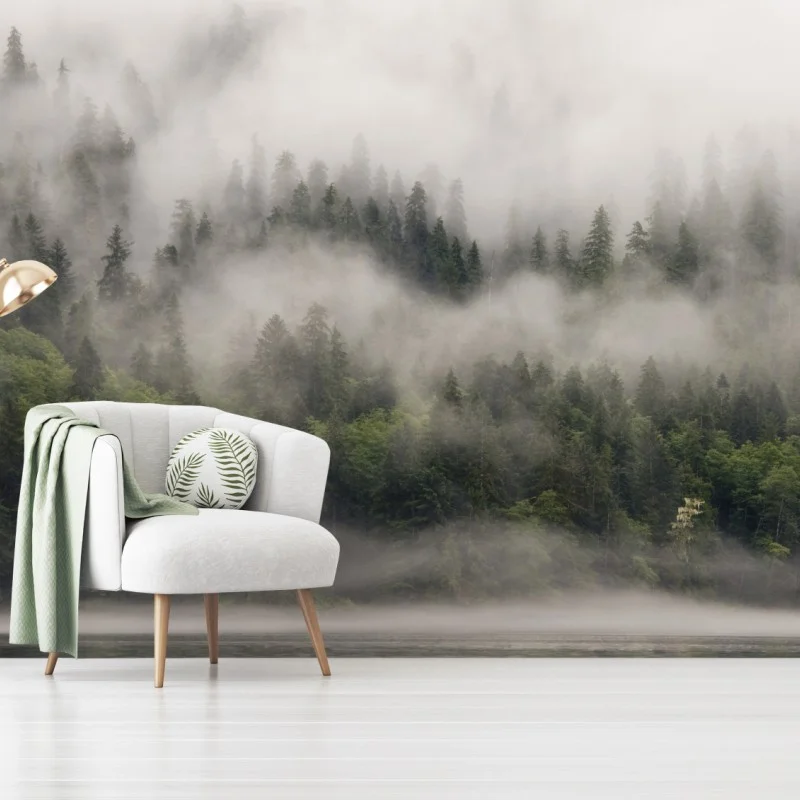 Fototapeta mglisty las nad wybrzeżem, Kolumbia Brytyjska