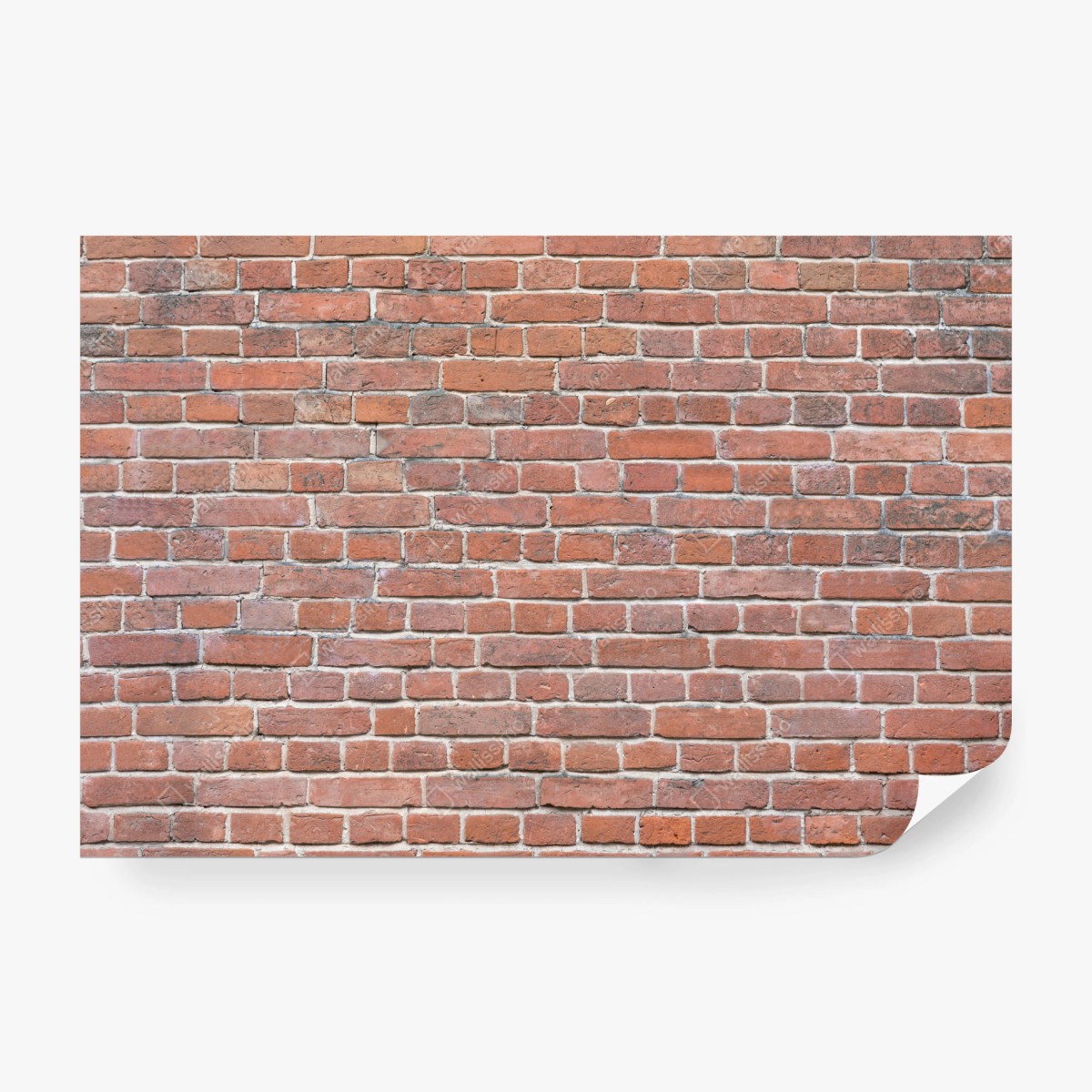 Fototapeta tekstura czerwonej cegły – Wallissimo®