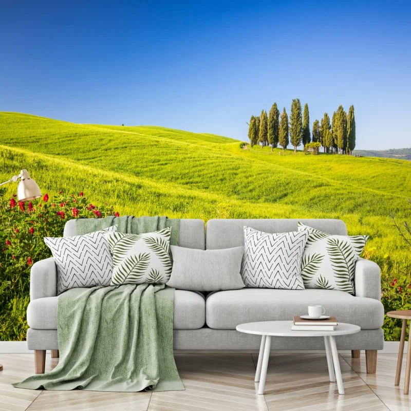 Fototapeta słoneczne zielone wzgórza z cyprysami