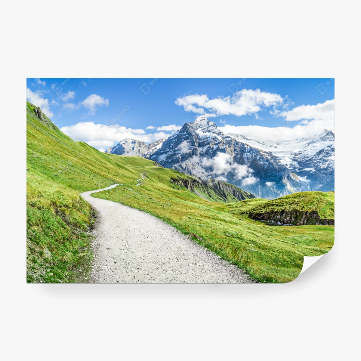 Fototapeta alpejska ścieżka w górach – Wallissimo®