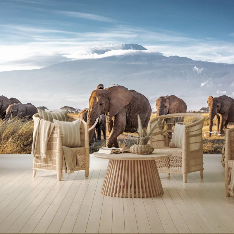 Fototapeta stado słoni przed Kilimandżaro