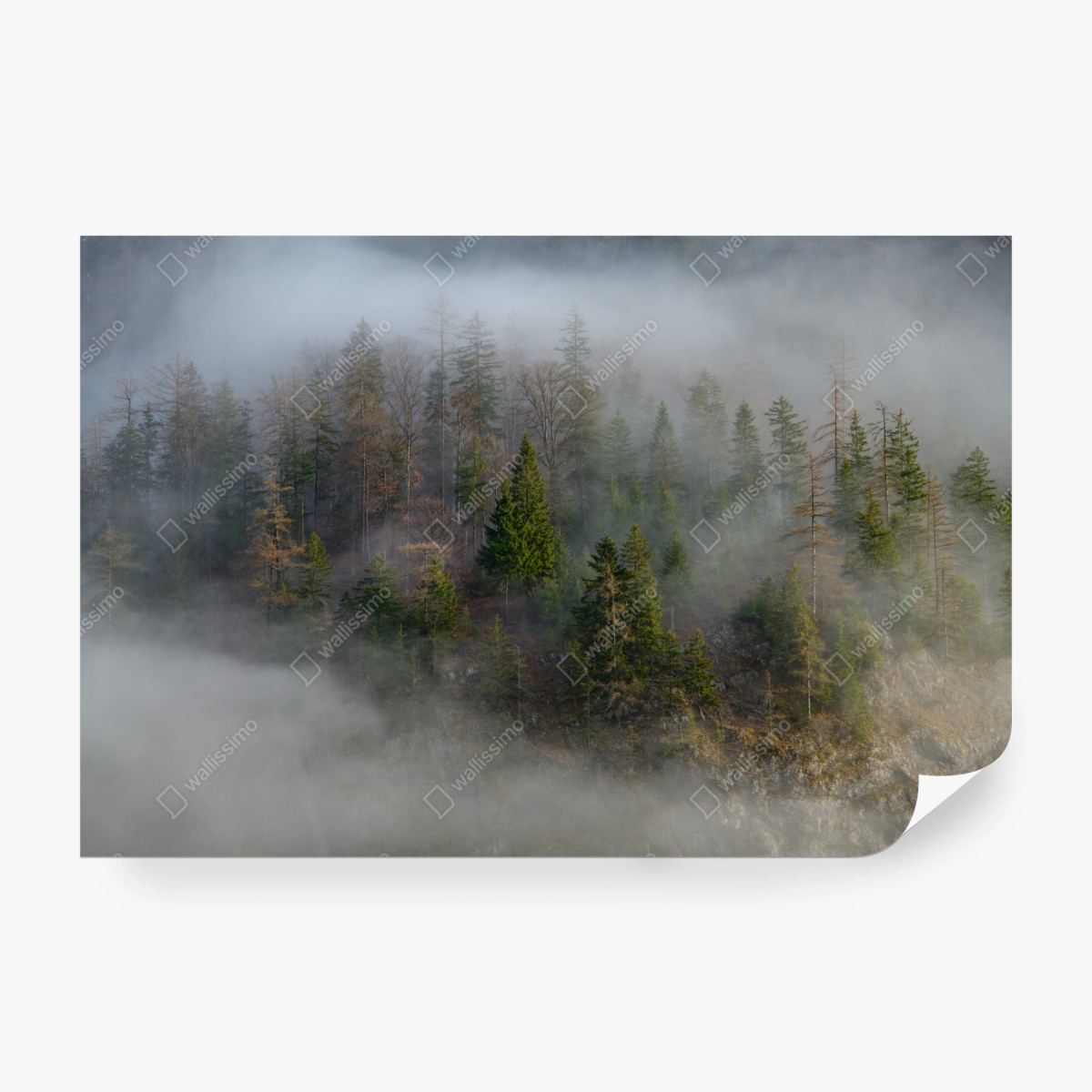 Fototapeta mglisty górski las – Wallissimo® Fototapeta mglisty górski las – Wallissimo®