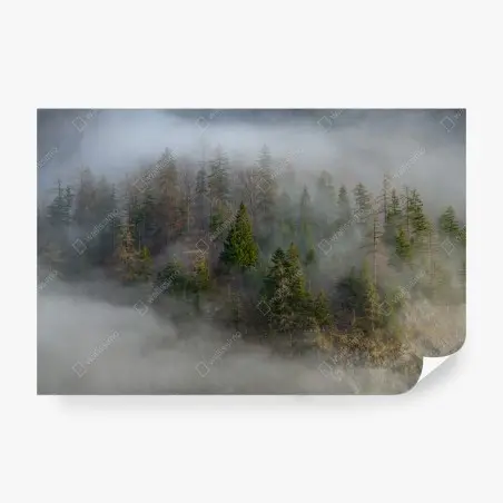 Fototapeta mglisty górski las – Wallissimo®
