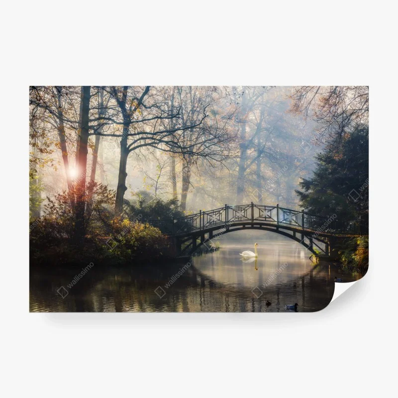 Fototapeta mglisty jesienny most z łabędziem